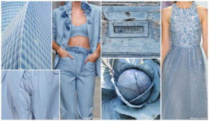 w621_2_BlueHydrangea