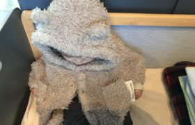 １カ月半が経ちましたが・・・☆