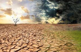 外も室内も乾燥の時期がやってきましたね。