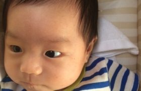 復帰のお知らせです＊