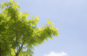 この時期のUVに注意！！